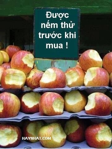 just troll chapter 25 25