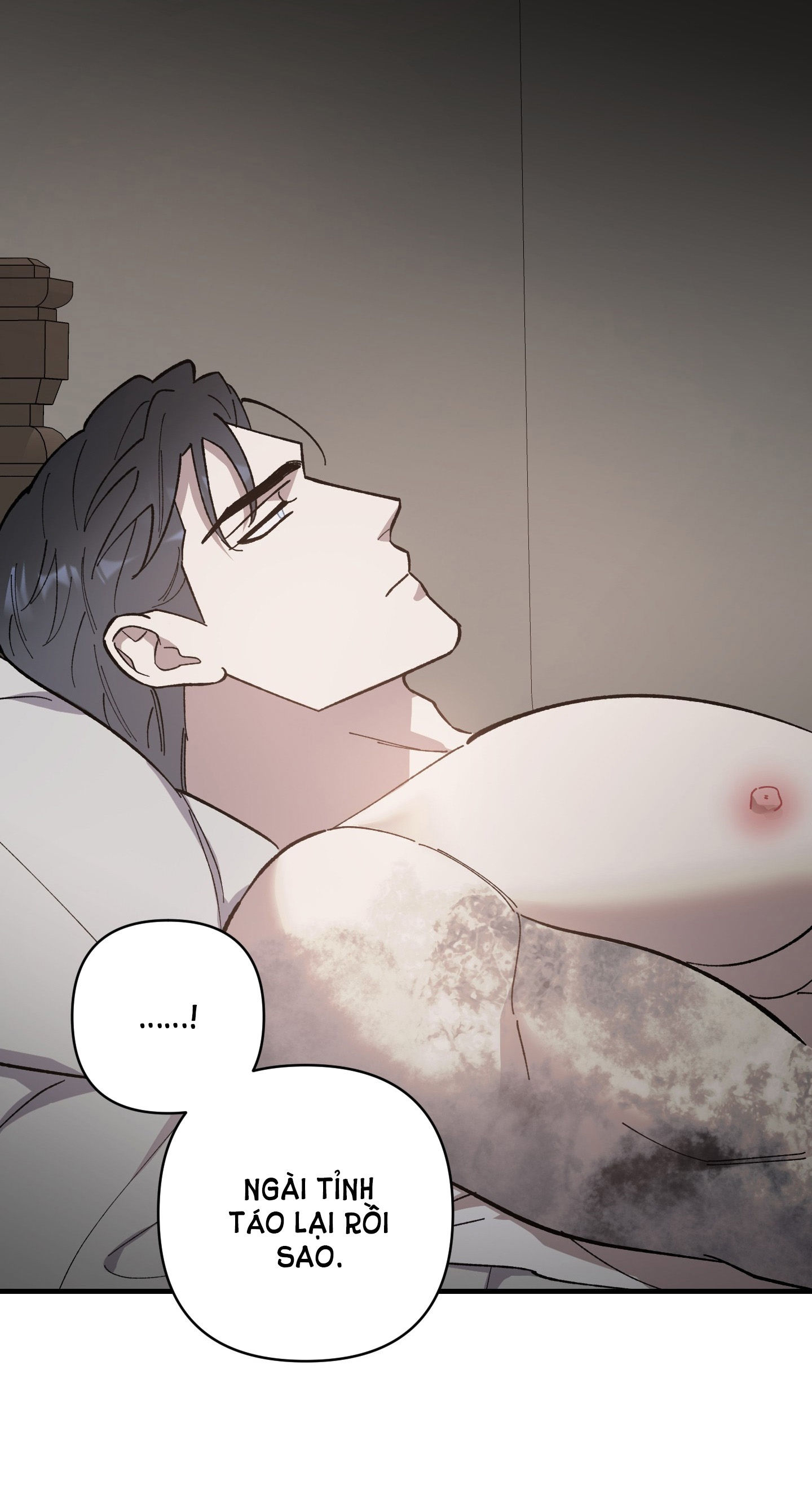 đóa hoa của mặt trời chapter 20.2 12