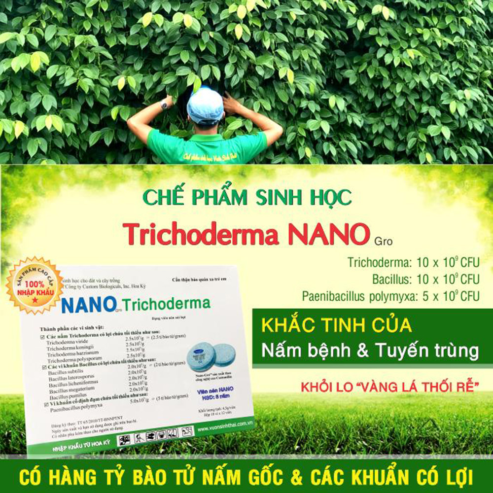 2 viên Chế phẩm vi sinh NANO-GRO. Trichoderma Bacillus cực mạnh. Ngặn chặn nấm bệnh vàng lá thối rễ. Nhập khẩu Hoa Kỳ