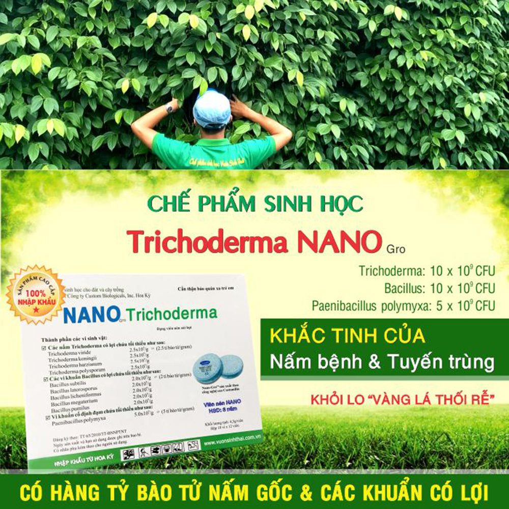 1 viên Phân bón vi sinh NANO-GRO. Chứa hàng tỷ bào tử vi nấm đối kháng trichoderma bacillus