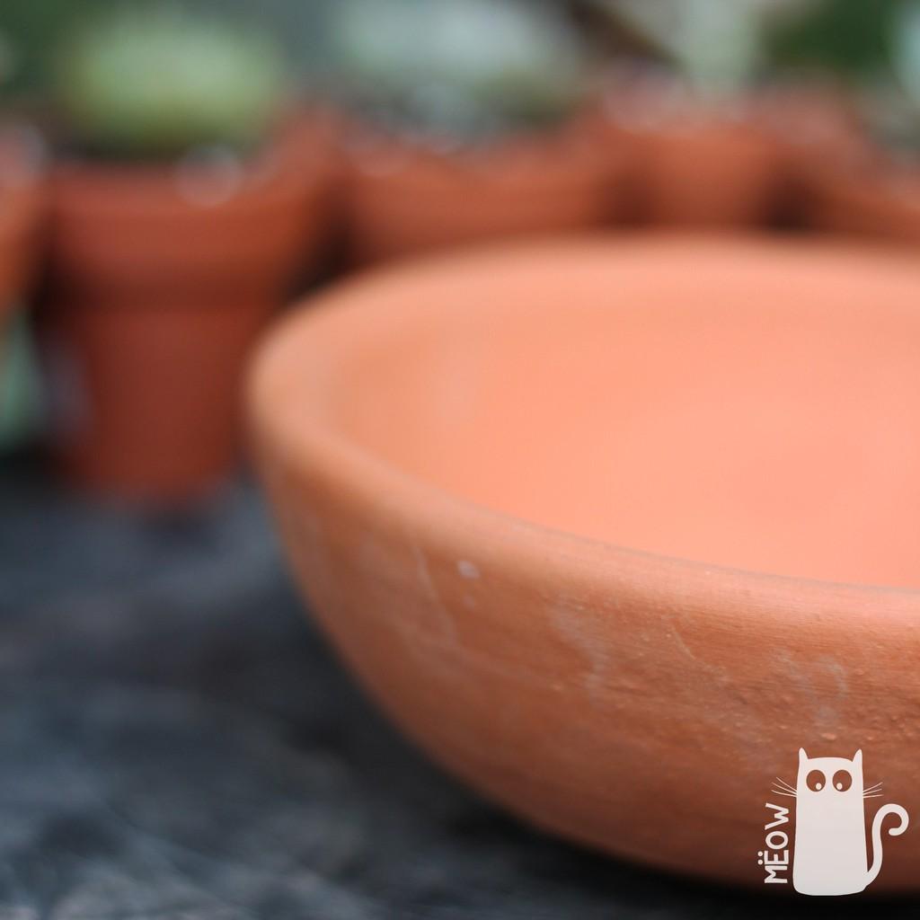 Chậu đất nung Chảo nhỏ 13x5cm | Chậu trồng sen đá, xương rồng, các loại cây mọng nước