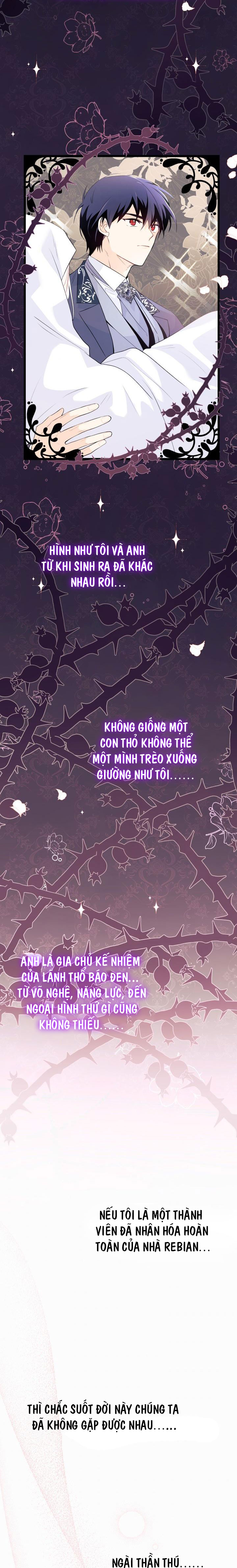 mối liên kết giữa báo đen và bé thỏ chapter 39.1 19