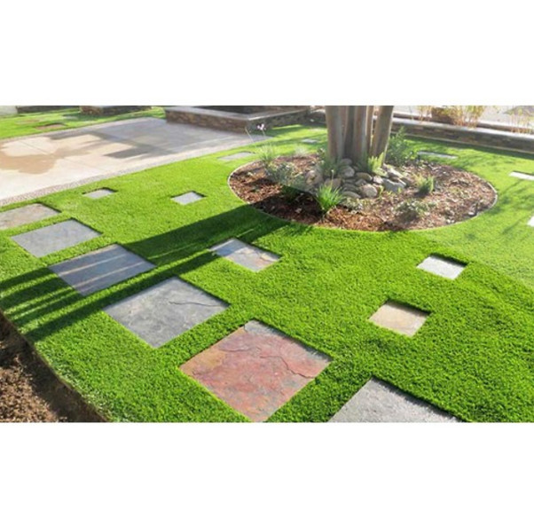 Thảm cỏ nhựa nhân tạo sợi cỏ dài 2cm trang trí sự kiện, tiểu cảnh sân vườn loại cao cấp không độc hại, bền, đẹp khổ 2m