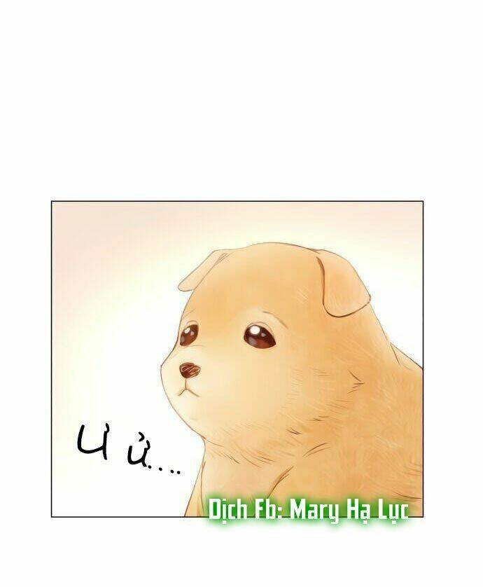 nhất định chúng ta sẽ được hạnh phúc chapter 1 79