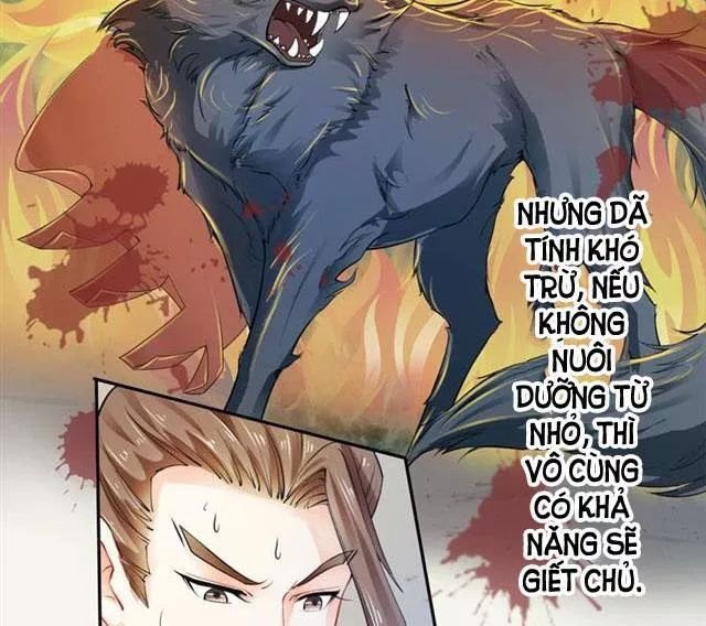 tuyệt thế luyện đan sư chapter 17 29