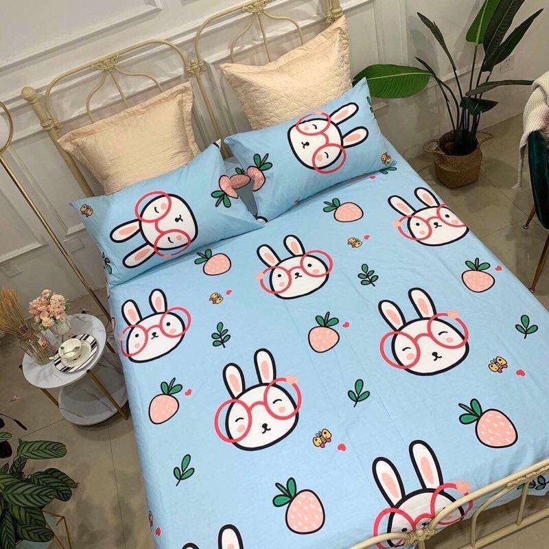 Một Áo Gối Vỏ Gối Mền Mịn Cotton Poly Size 65cm x45cm Chọn Mẫu