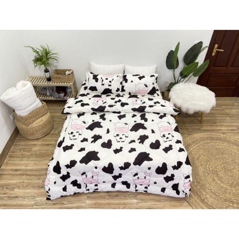 Bộ Chăn Ga Gối Cotton Poly 5 Món