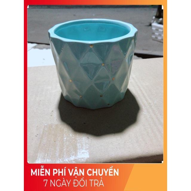 Chậu Trồng Cây