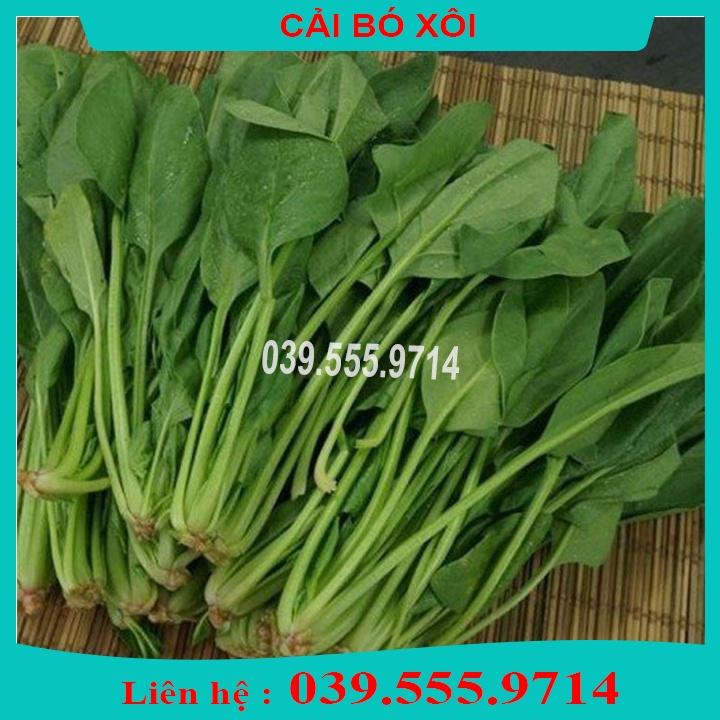 4 Loại Hạt Giống Cải Bó Xôi - Xà Lách Đăm - Hành - Hẹ