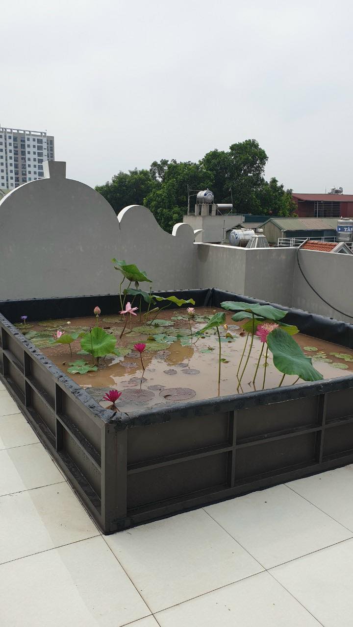 Bể bạt nuôi cá, ếch, ốc,...kt 3 x 2 x 0.5m