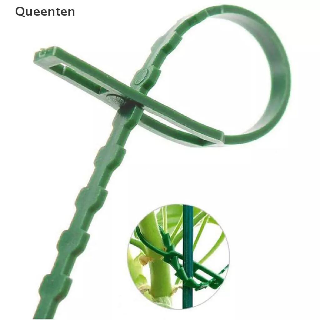 Queenten 50/100pcs Reusable Plastic Plant Support Clips clamps Plants Hanging Vine Garden  QT