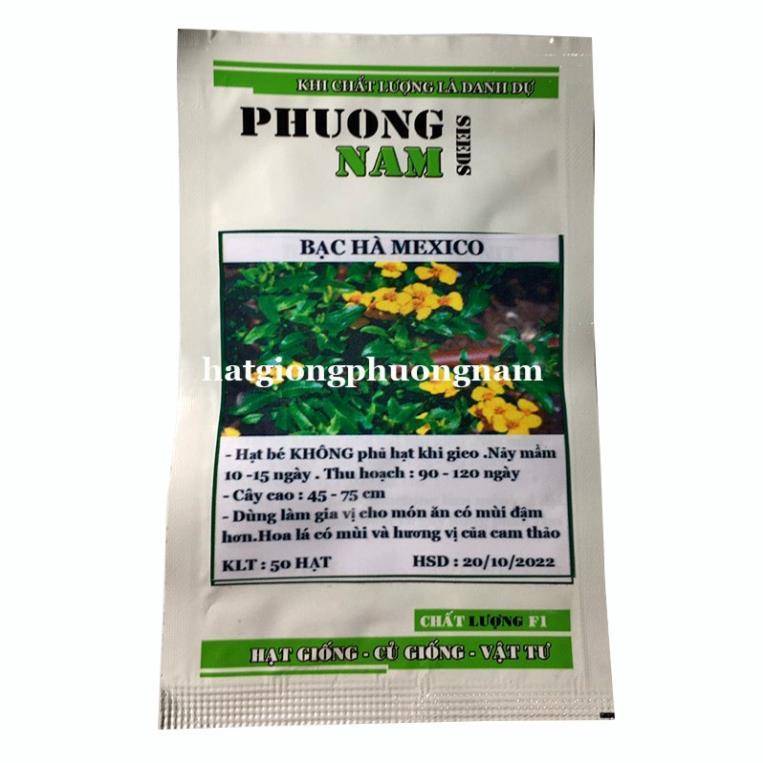 50H - HẠT GIỐNG BẠC HÀ MEXICO