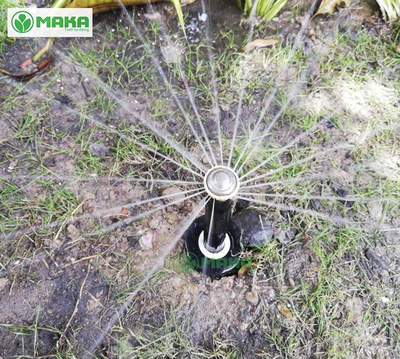 Đầu Tưới Cỏ Phun Tia Rainbird Pop Up 1804 - Của Mỹ Chất Lượng Cao