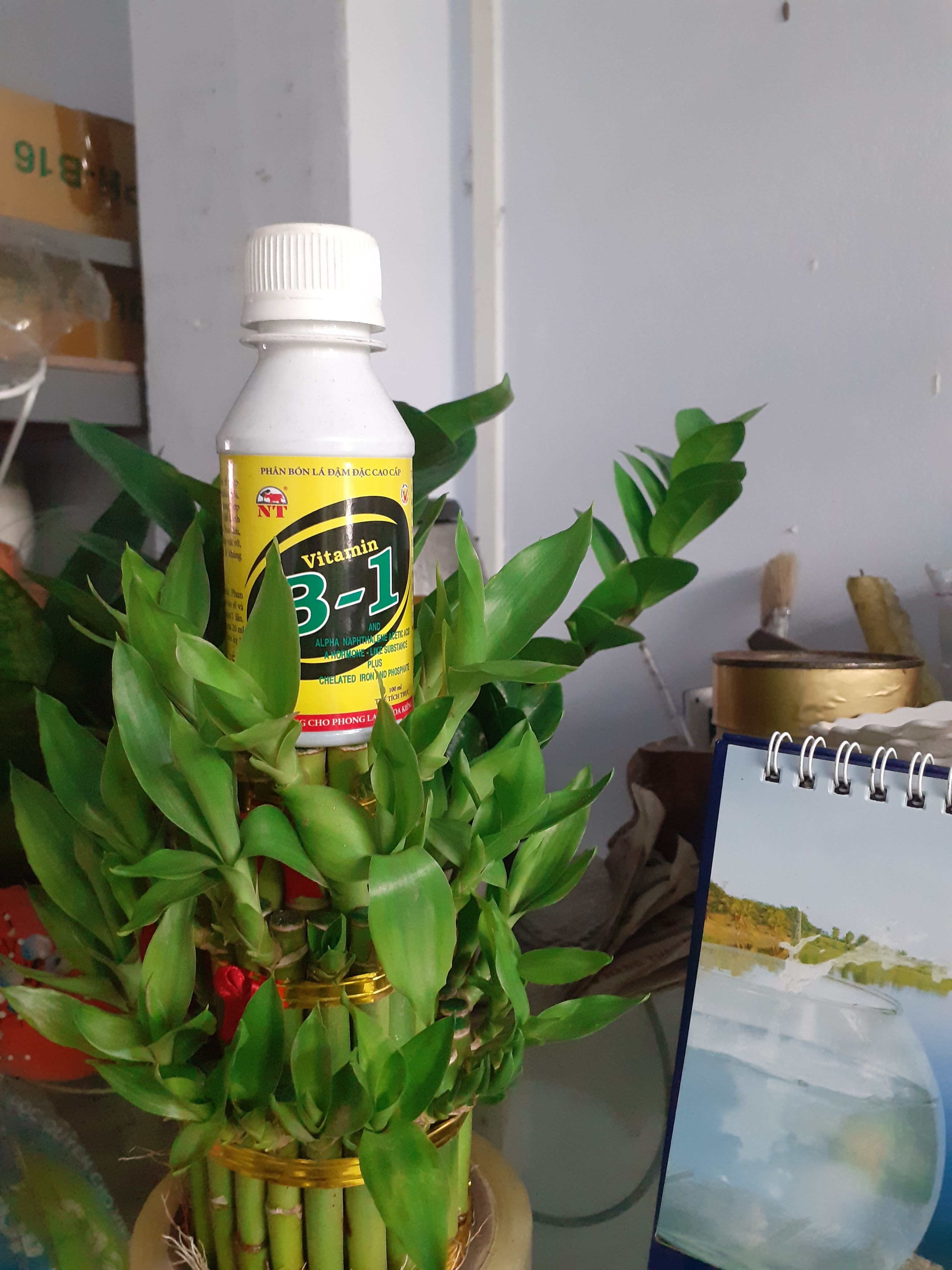 Chai 100ml ra rễ cực mạnh vitamin B1.