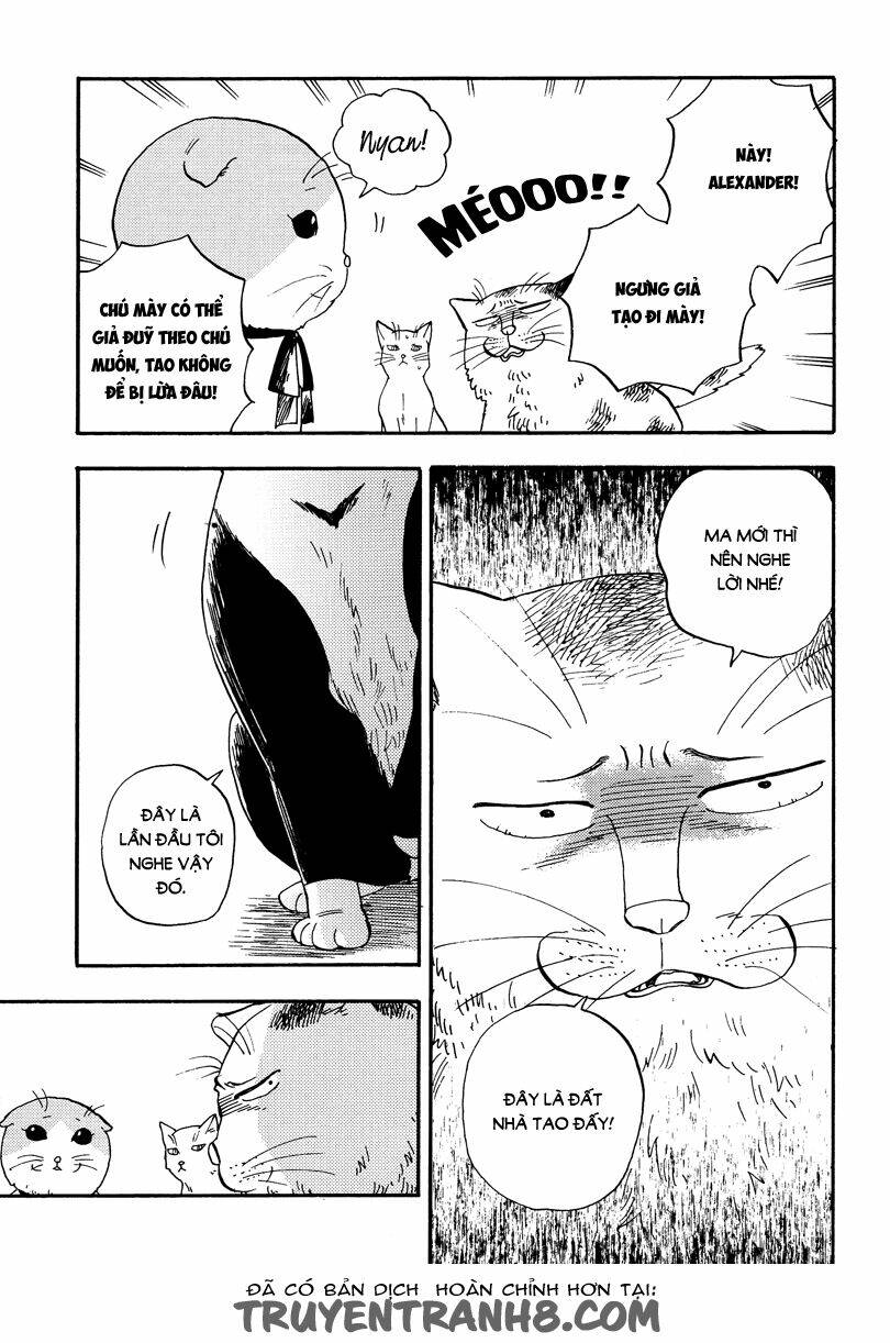 tui là busamen! chapter 3 16