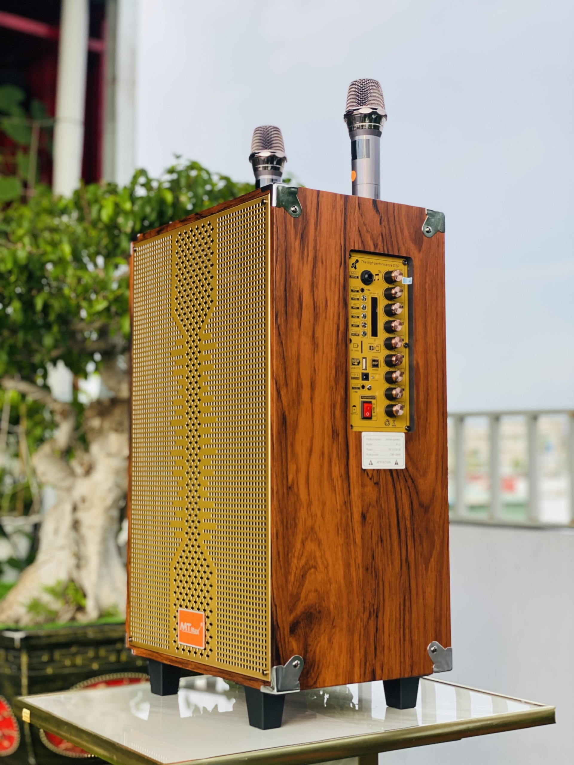 Loa Xách Tay Karaoke Nghe Nhạc T3 Pro Bass 30 – Công Suất 500W, Kết Nối Bluetooth, Kèm  Micro Không Dây Hàng Nhập Khẩu
