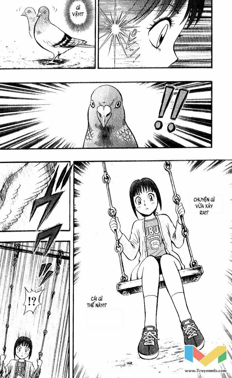 animal sense chapter 1 6