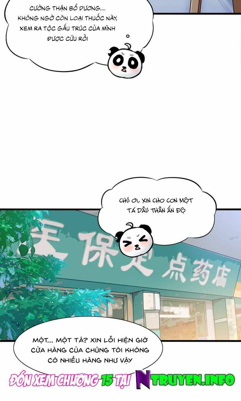 tôi bị gấu trúc nhìn trúng rồi chapter 14 25