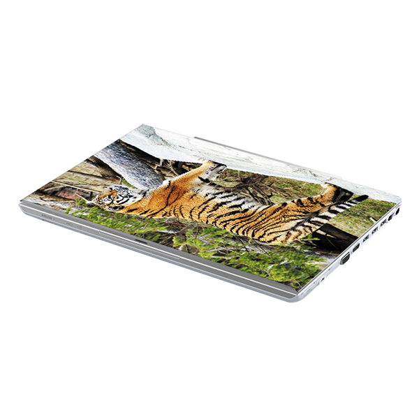 Mẫu Dán Decal Laptop Nghệ Thuật LTNT-360