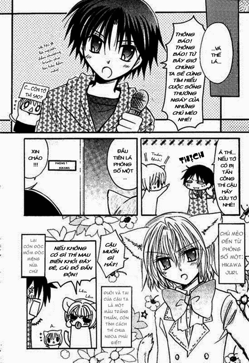 boku x neko? chapter 3.1 6