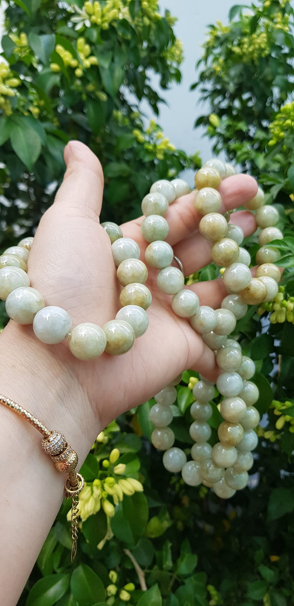 Vòng tay chuỗi nam nữ đá cẩm thạch tự nhiên trắng vàng bóng ngời Vòng size hạt 13mm Màu trắng vàng đất nhẹ bóng mượt thiệt đẹp ạ