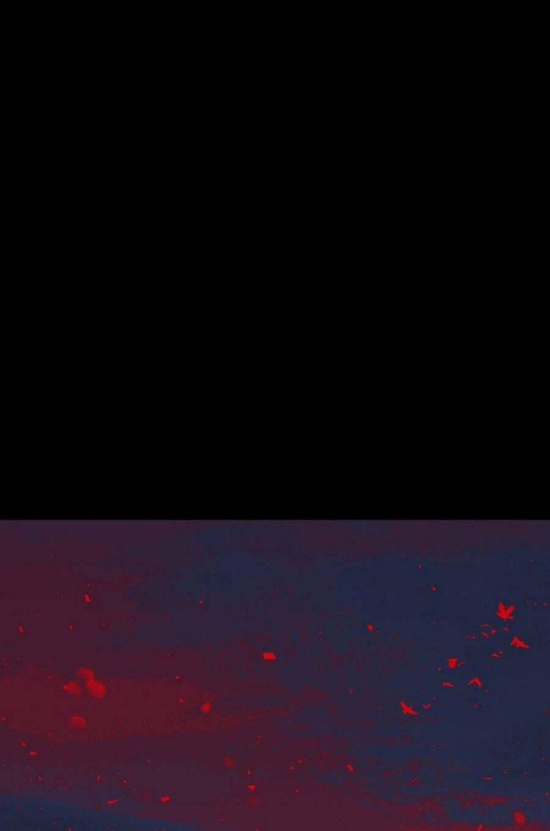 tử thần chapter 37 61