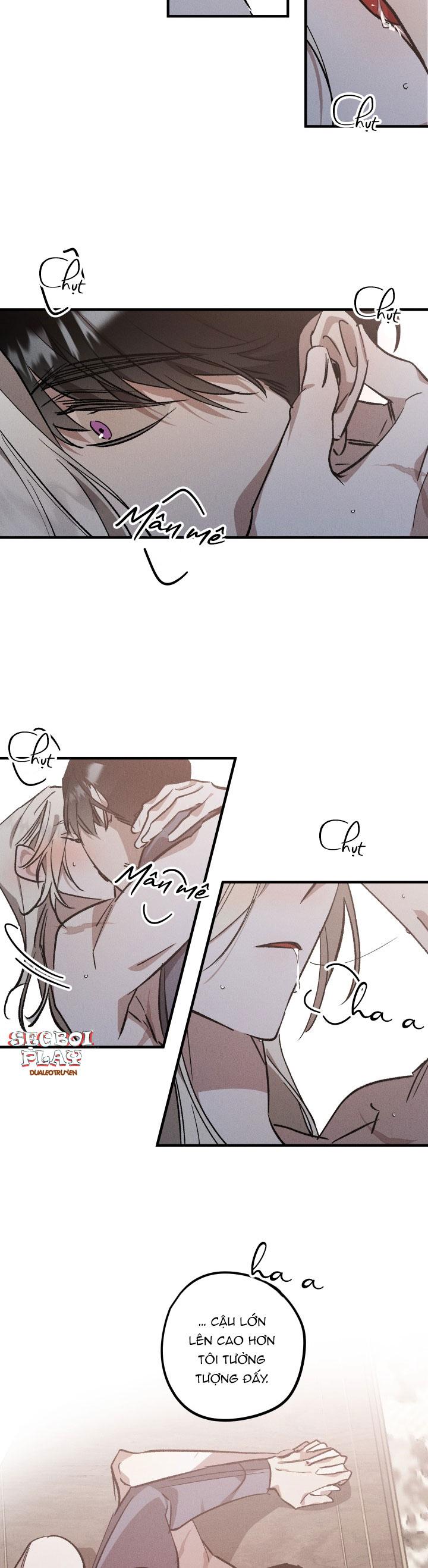 khu vườn hoa lavender chapter 6 5