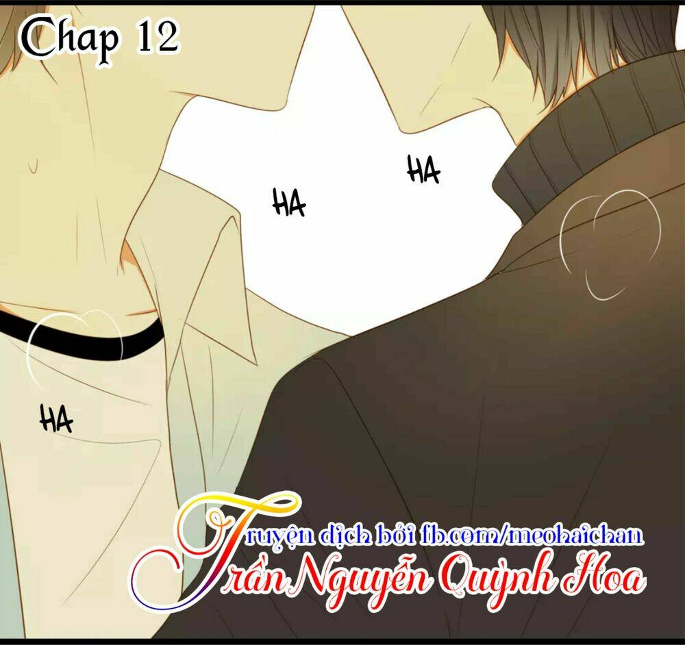 điều giáo quan hệ chapter 12 1