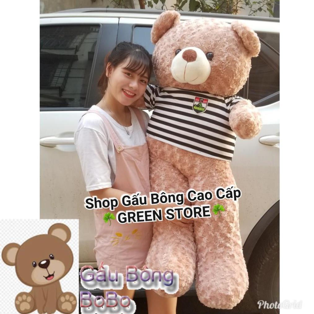 1M4 khổ, Gấu Bông teddy 1m4 khổ cao 1M2 Rẻ Vô Địch