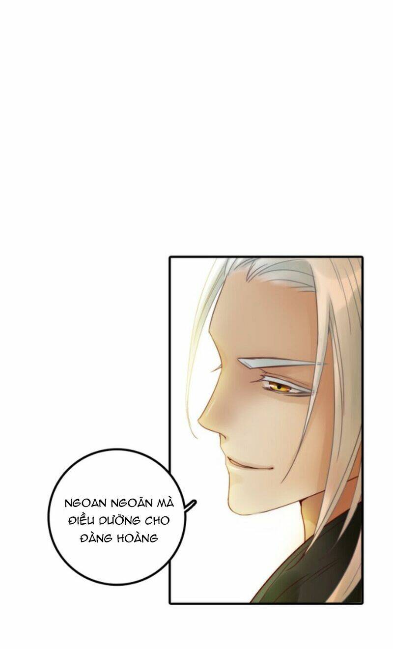 cướp chàng vợ về đón năm mới chapter 12 29