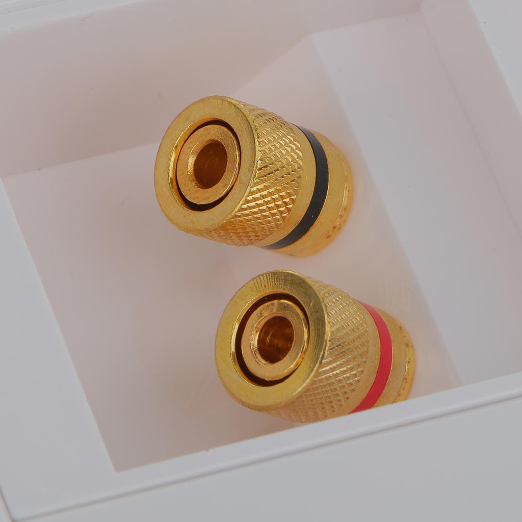 White Gold  2 Binding Post Audio  Stereo Wall Plate Panel Connector