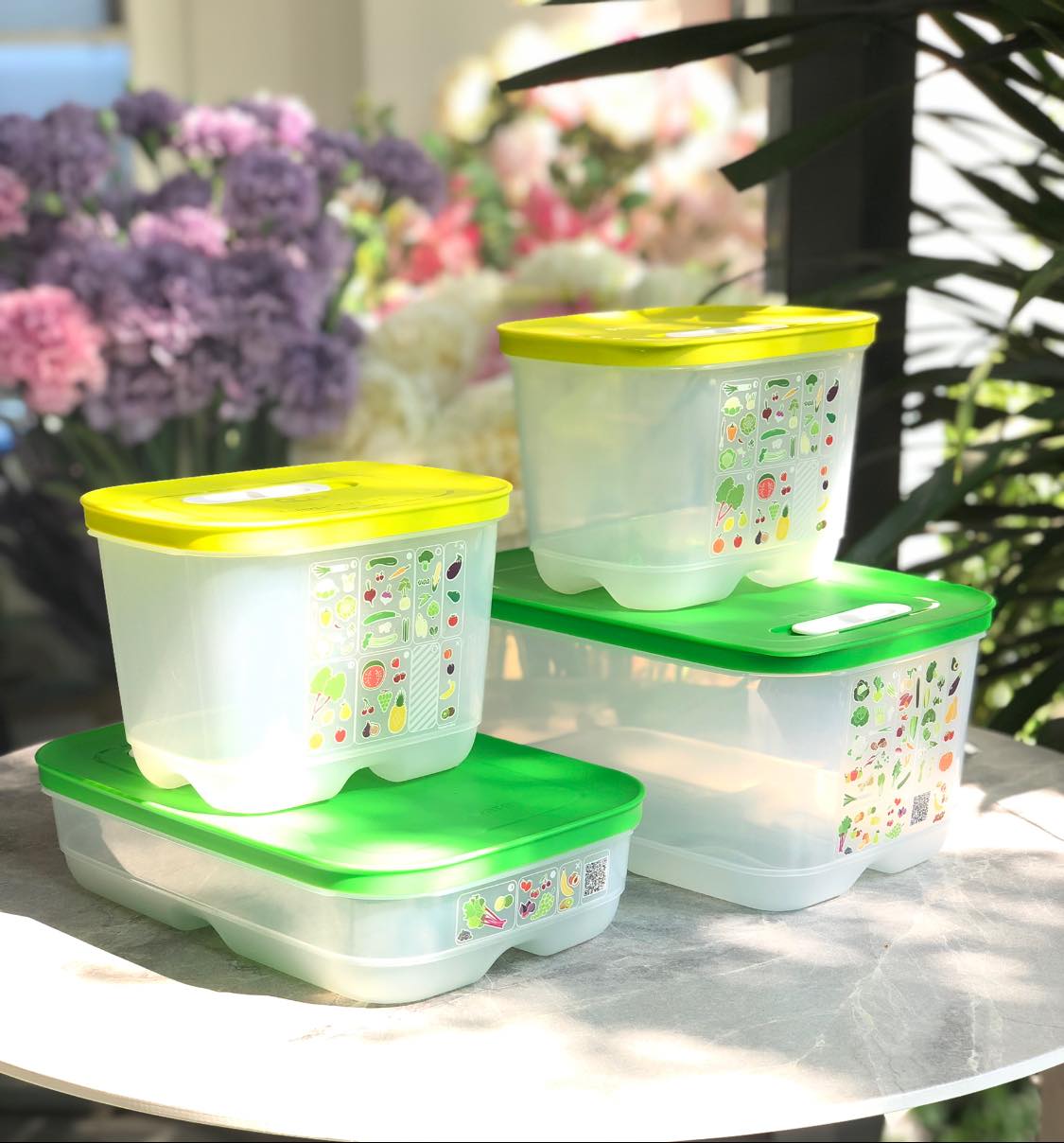 Bộ 4 Hộp Bảo Quản Thực Phẩm Tupperware Vensmart Vens 4