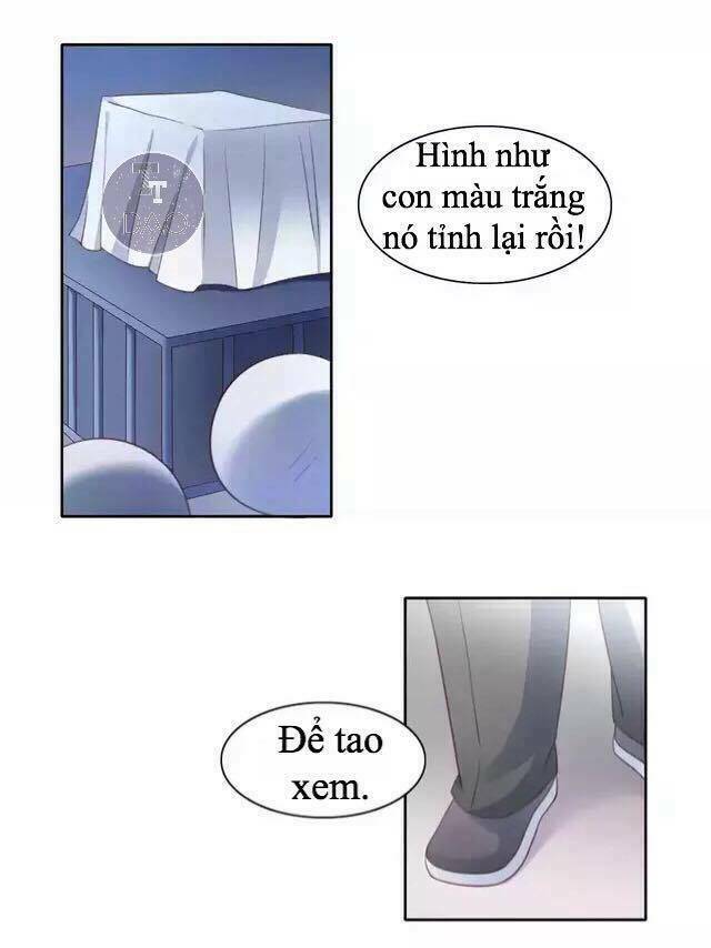 thị hoang chi thần chapter 14 35