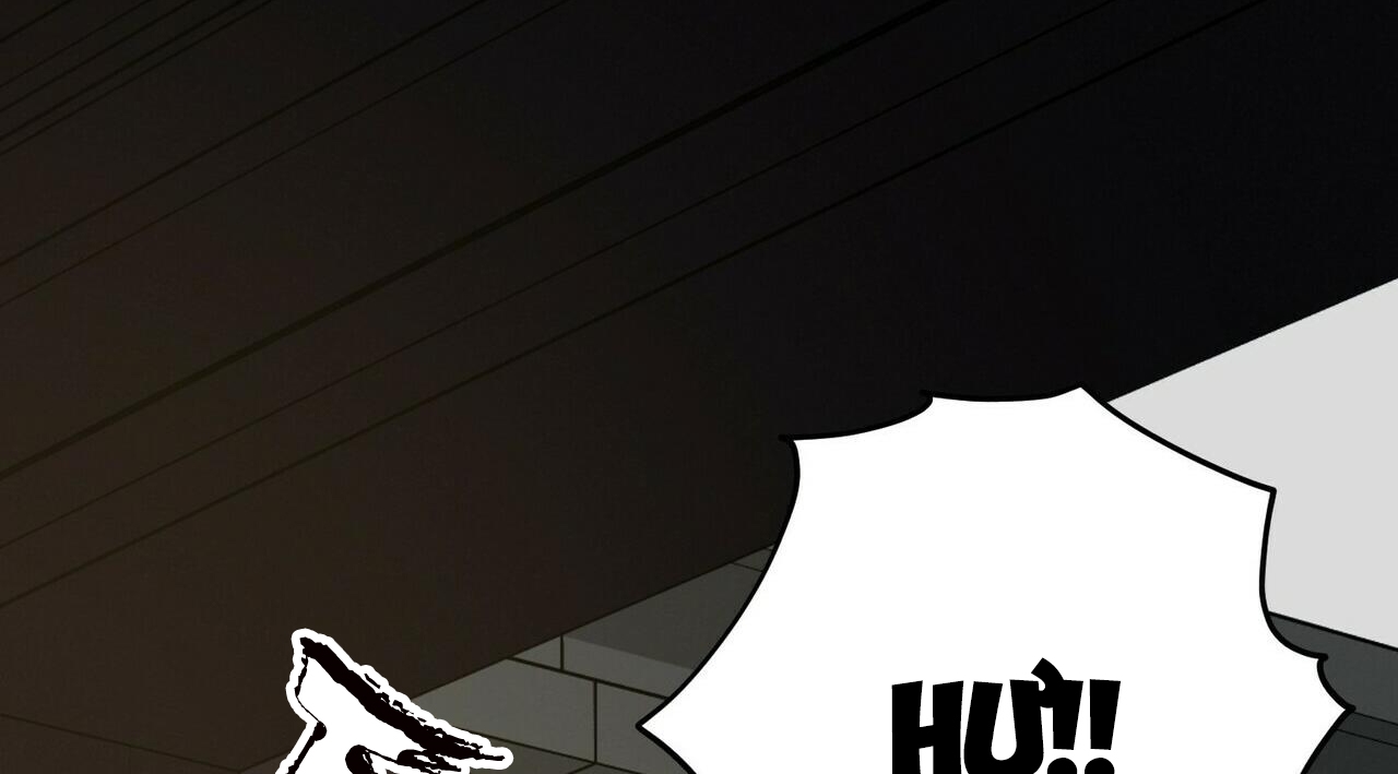 chàng dâu nhà họ kang chapter 23 143