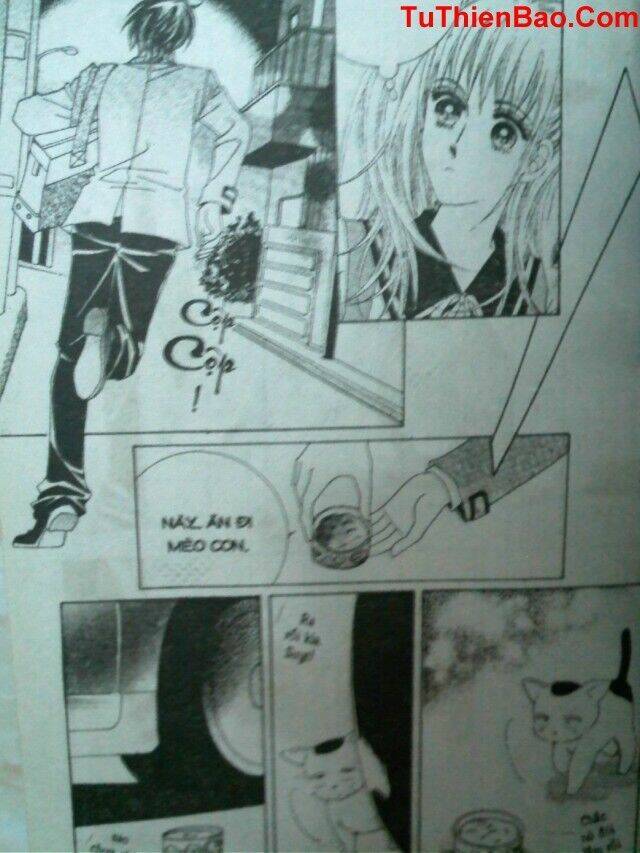 cô nàng xinh đẹp chapter 8 133