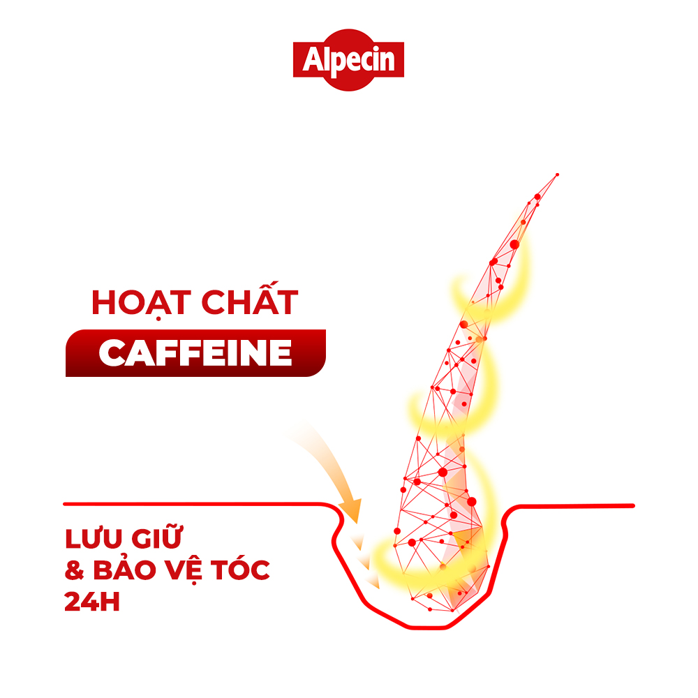 Combo 2 Dầu gội Caffeine Alpecin C1 250ml, ngăn rụng tóc và kích thích tóc mọc chắc khỏe, cho nam