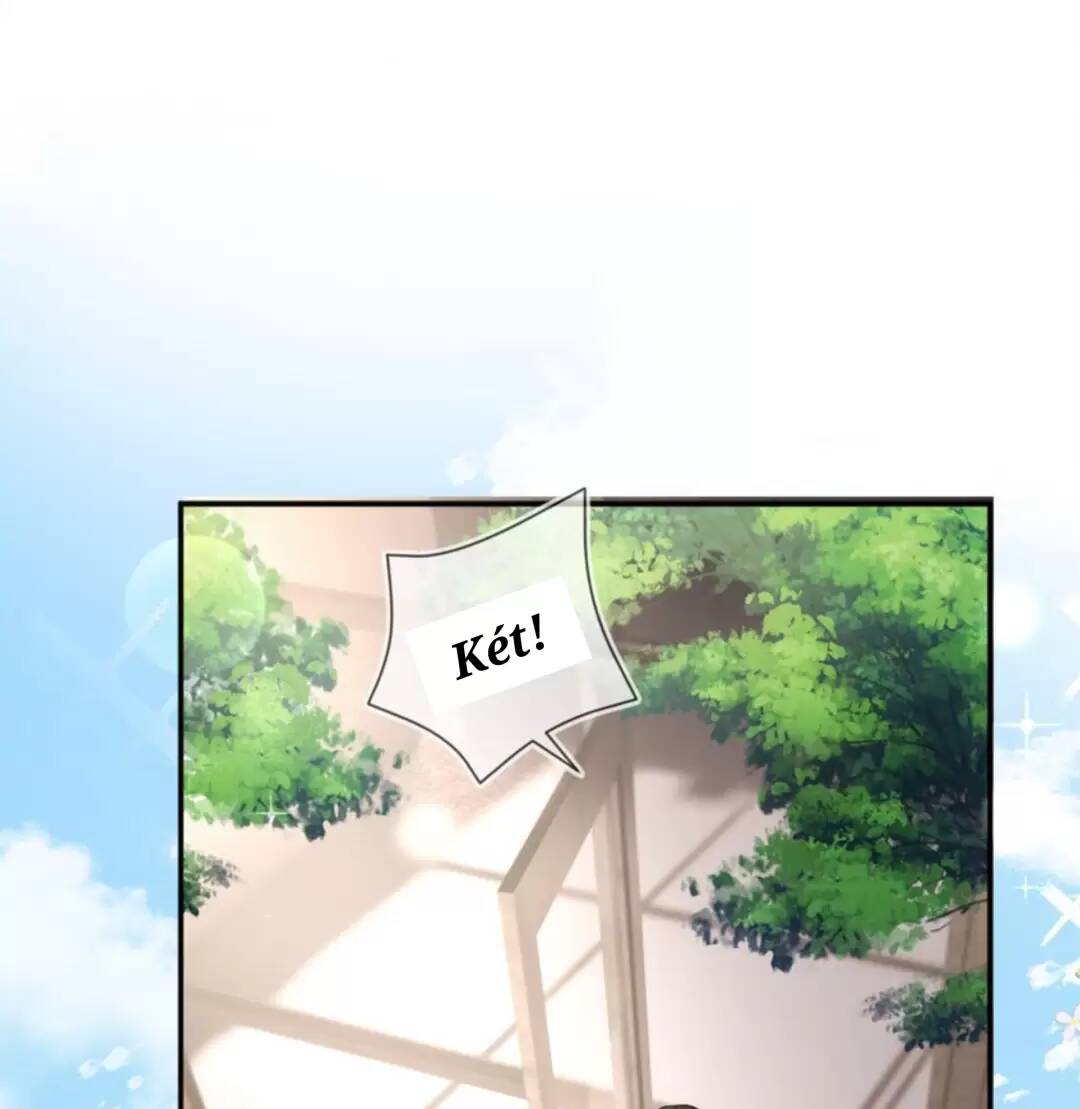 mận xanh chapter 11 18