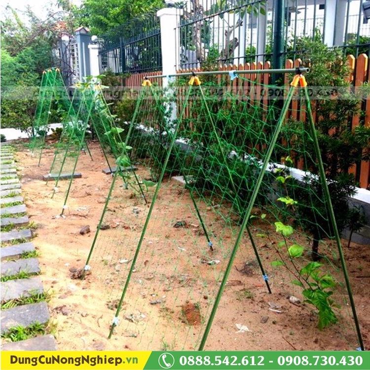 Lưới leo dàn cho cây trồng 2m-6m