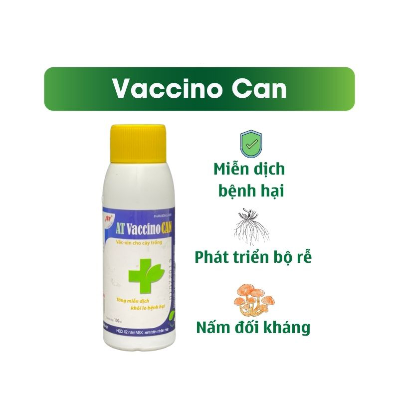Thuốc Trị Nấm Sinh Học AT Phòng Trị Thán Thư, Sương Mai, Héo Dây, Cải Tạo Đất Ra Tơi Xốp - AT Vaccino Can 100ml