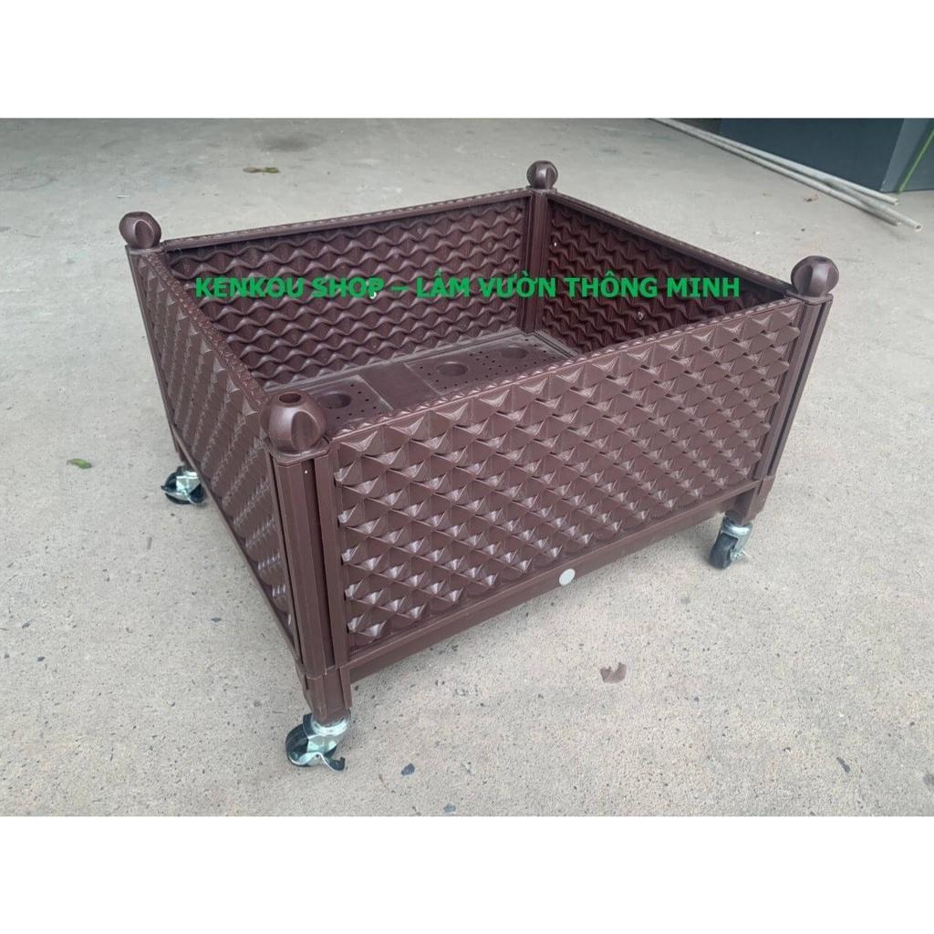 Bộ 4 bánh xe có khóa lắp đế chậu trồng cây - càng thép mạ kẽm chống rỉ, bánh cao su đặc