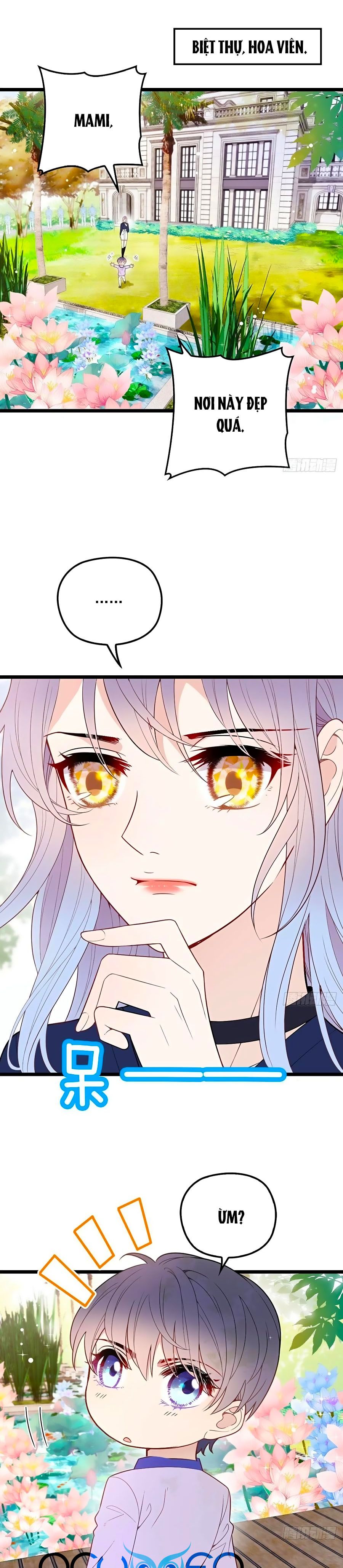 một vợ yêu, một bé con chapter 68 1