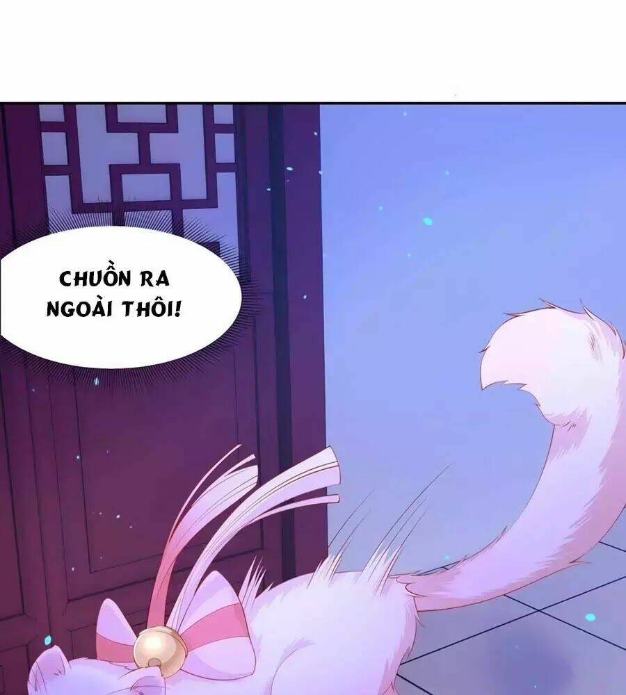 dưỡng thú vi phi chapter 8 17