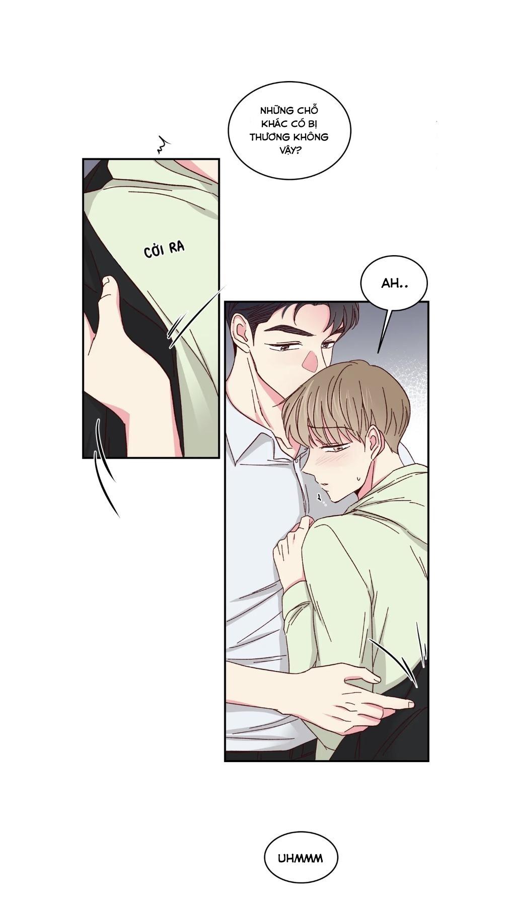 món tráng miệng của sếp tổng chapter 59 8