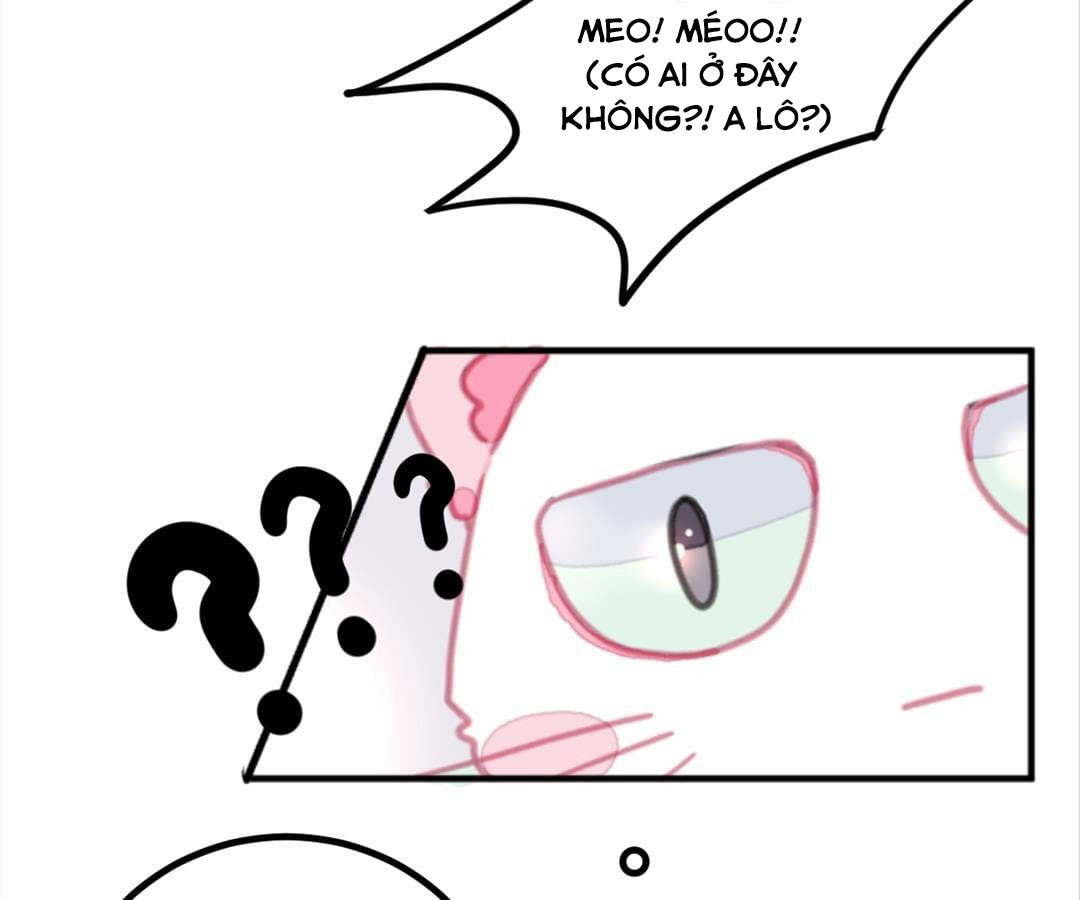 social cat chapter 1 20