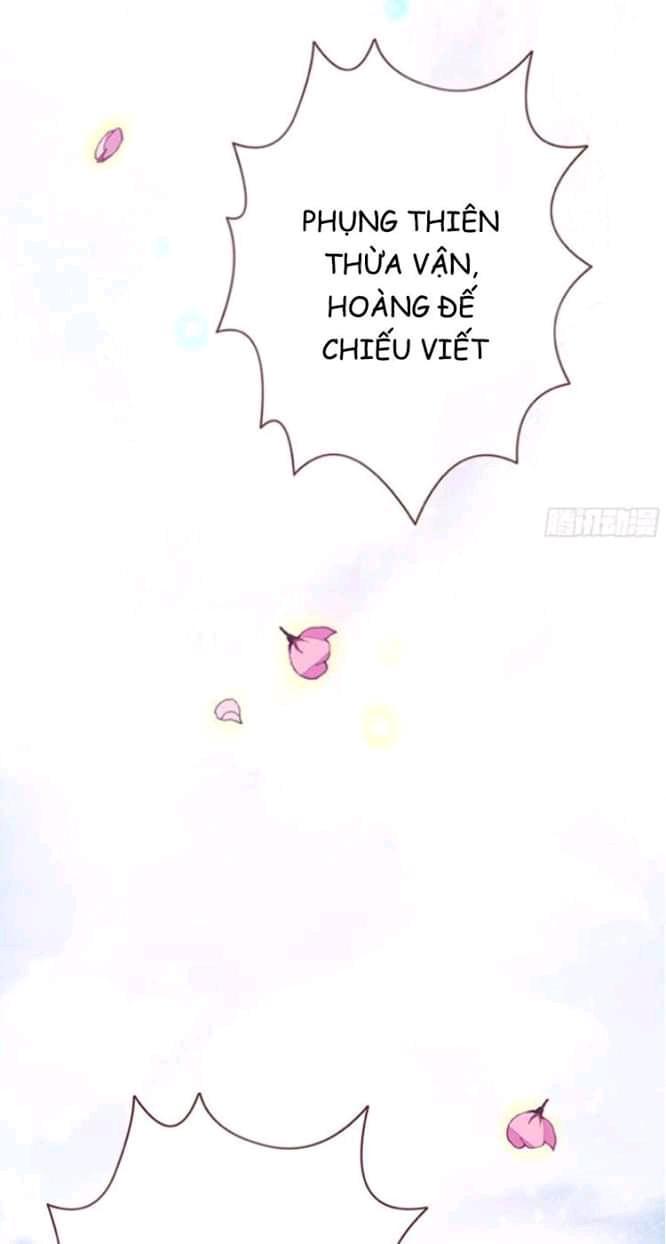 vương phi - âm động thiên hạ chapter 2 10