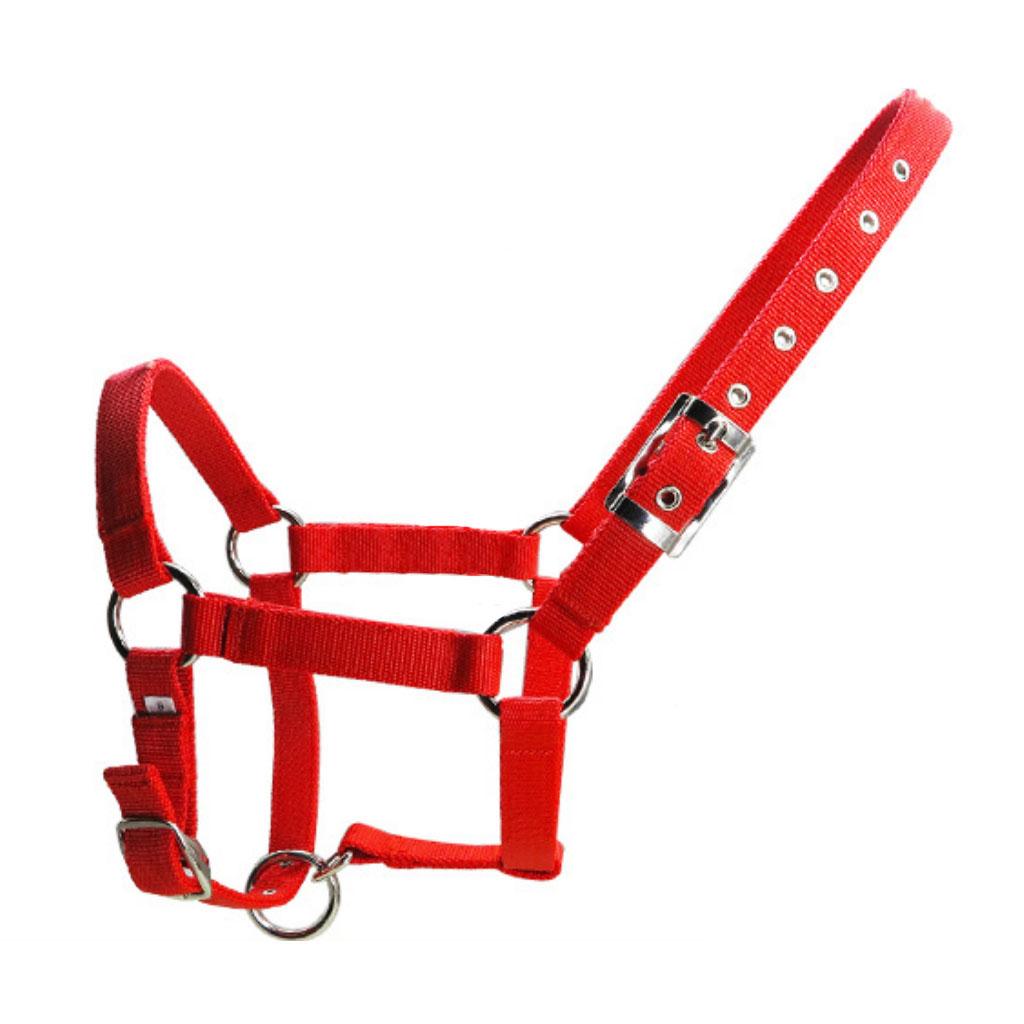 Adjustable Nylon Webbing Equestrian Western Horse Halter Horse Riding Wear Red S