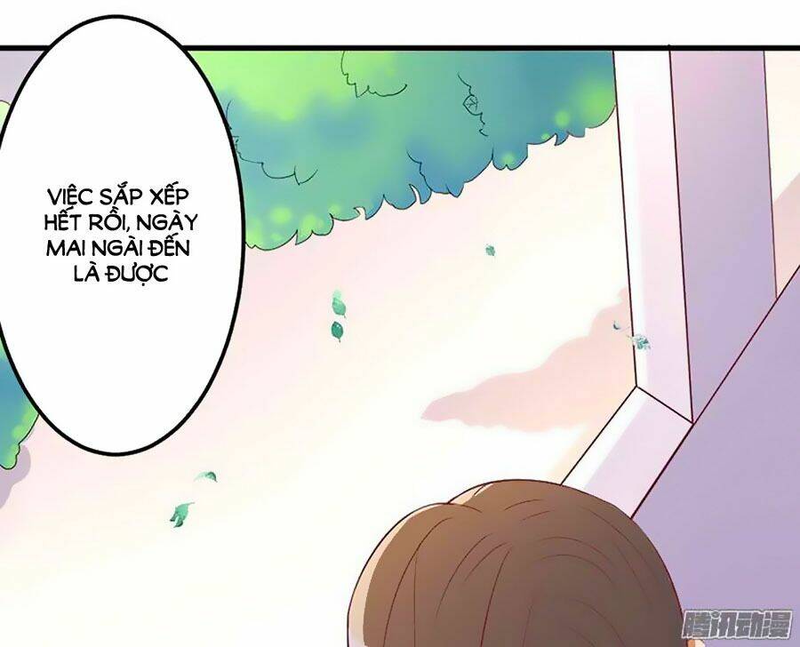 gối đầu vào tổng tài ác ma chapter 11 23