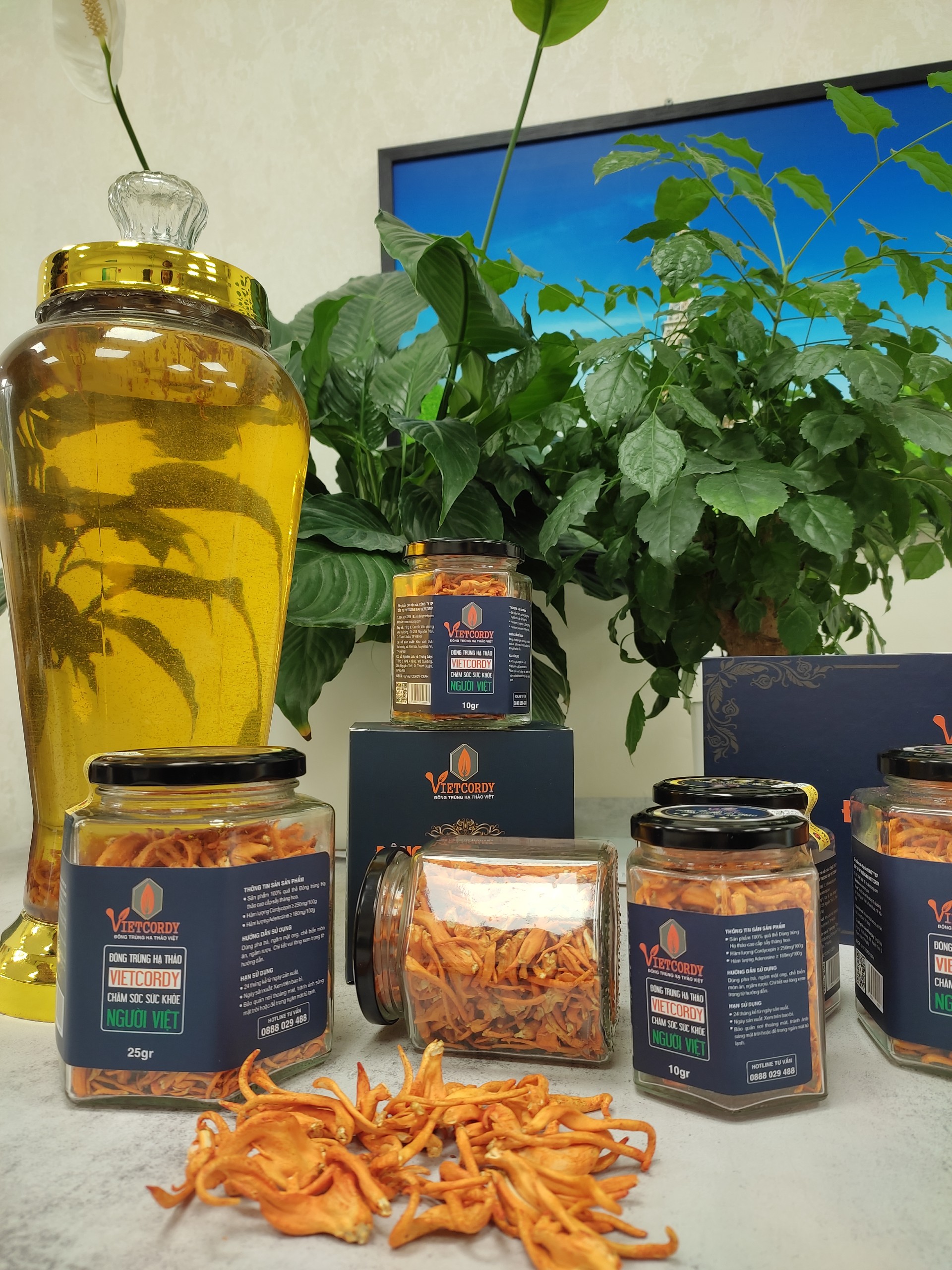 HÈ SÔI ĐỘNG ( MUA 3 HŨ *15GR TẶNG NGAY 1 HŨ 15GR CÙNG LOẠI )