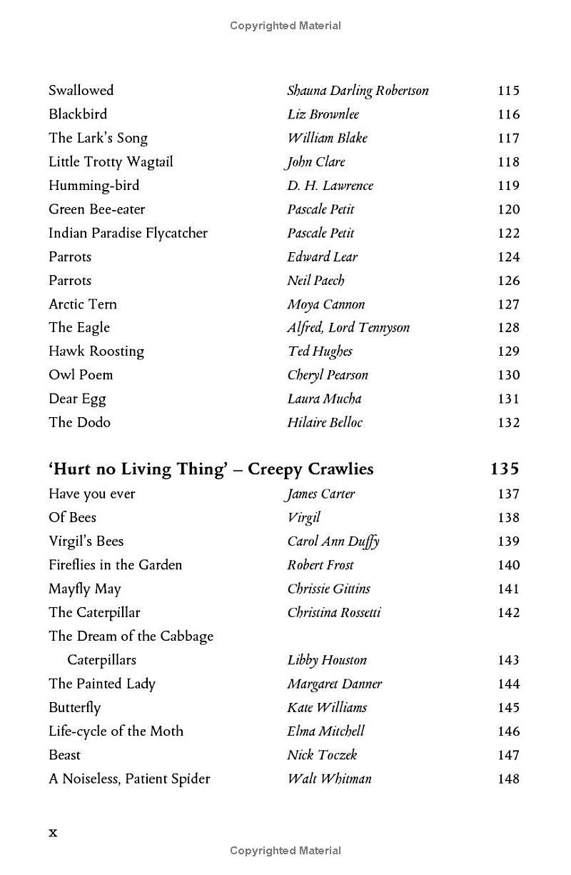 Sách ngoại văn: Wonder - The Natural History Museum