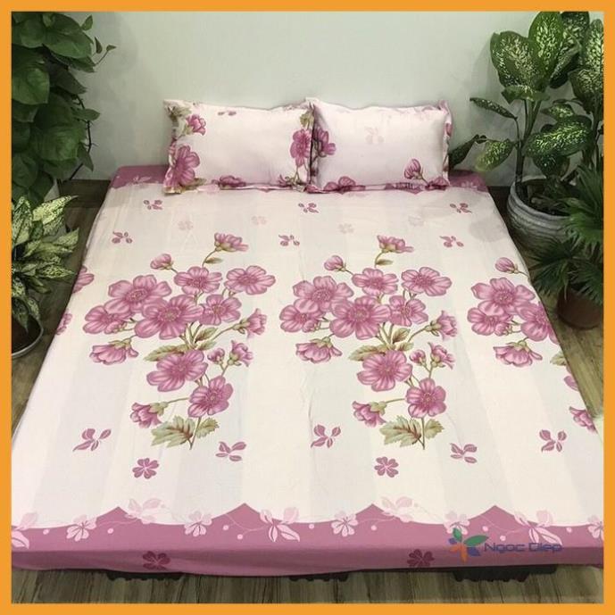 Bộ ga gối poly cotton m6 hoặc m8 mẫu đào hồng